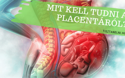 Mit kell tudni a placentáról? (1. rész)