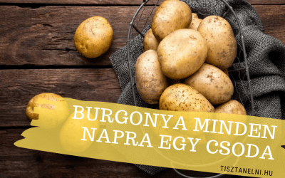 Burgonya, burgonya minden napra egy csoda!