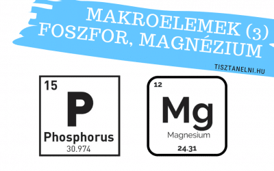 Makroelemek (3. rész) – Foszfor, magnézium